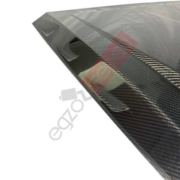 Mercedes W464 DRY CARBON V TYPE KAPUT